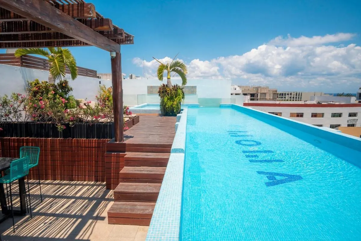 Romantic And Cozy 1Br Moma Playa del Carmen Apartment